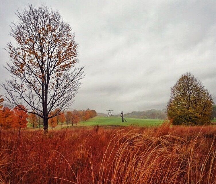 Storm King on a super stormy day