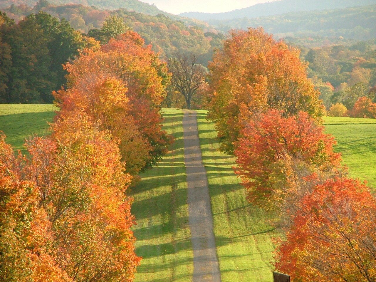 Storm King in the fall. #roadtrip
