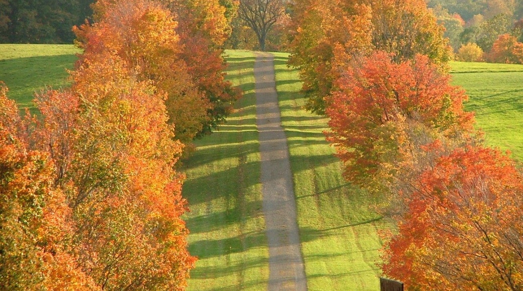 Storm King in the fall. #roadtrip