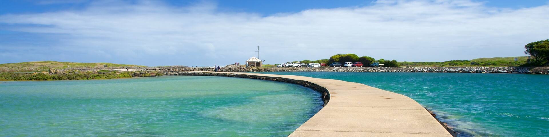 Griffiths Island Lighthouse featuring a bay or harbour