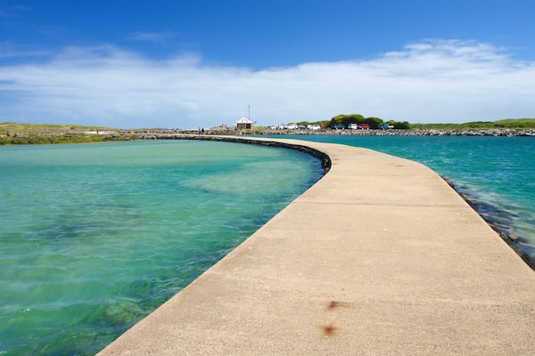 Griffiths Island Lighthouse featuring a bay or harbour