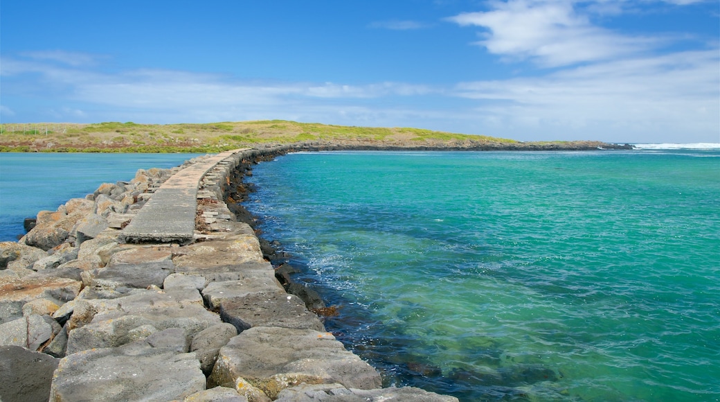 グリフィス島 灯台 どの含み 岩の多い海岸線