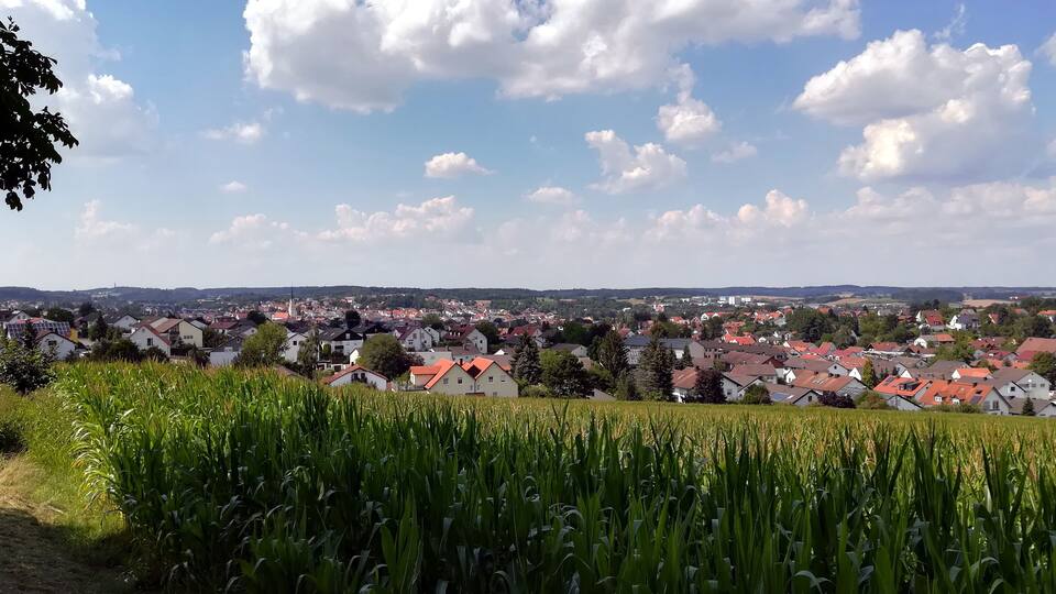 A rural landscape with a field of crops in the foreground and a village with red-roofed houses in the background under a partly cloudy sky.