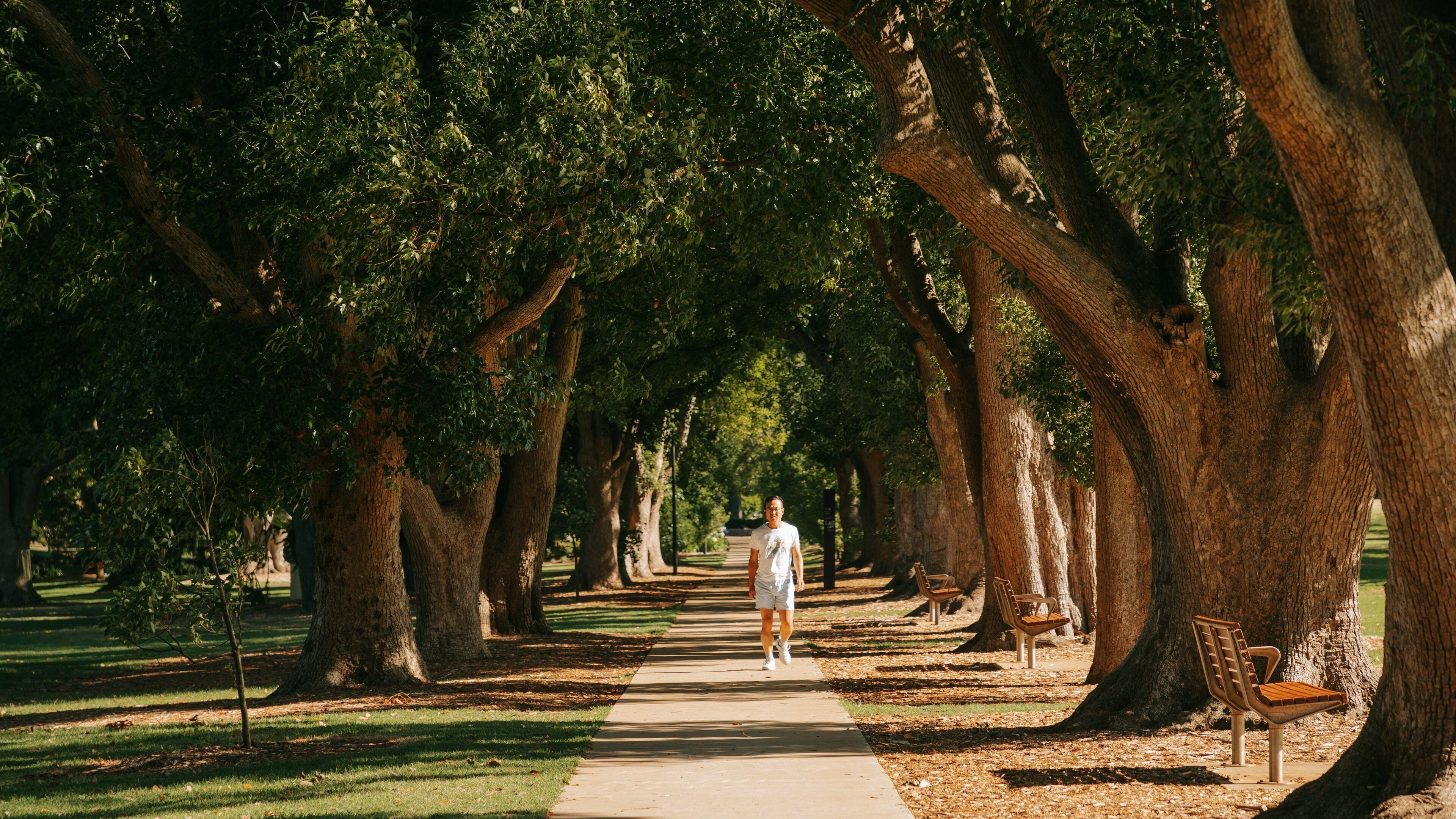 Queens Park which includes a garden as well as an individual male