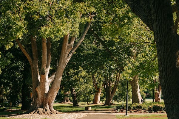 Queens Park showing a park