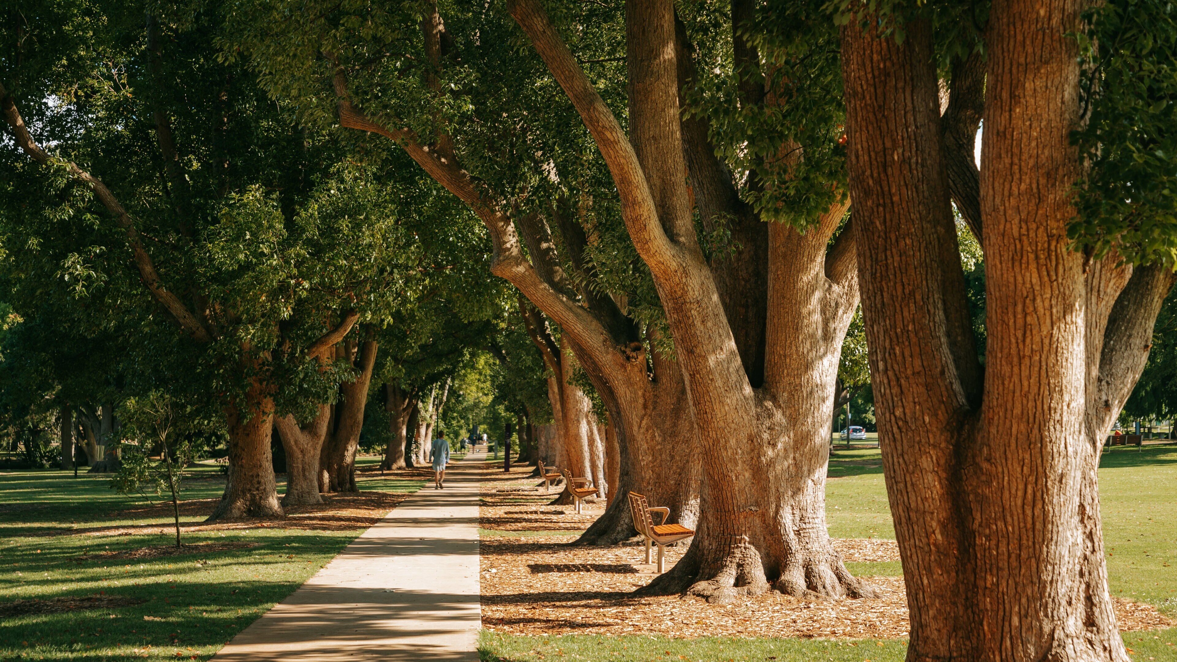 Queens Park showing a park