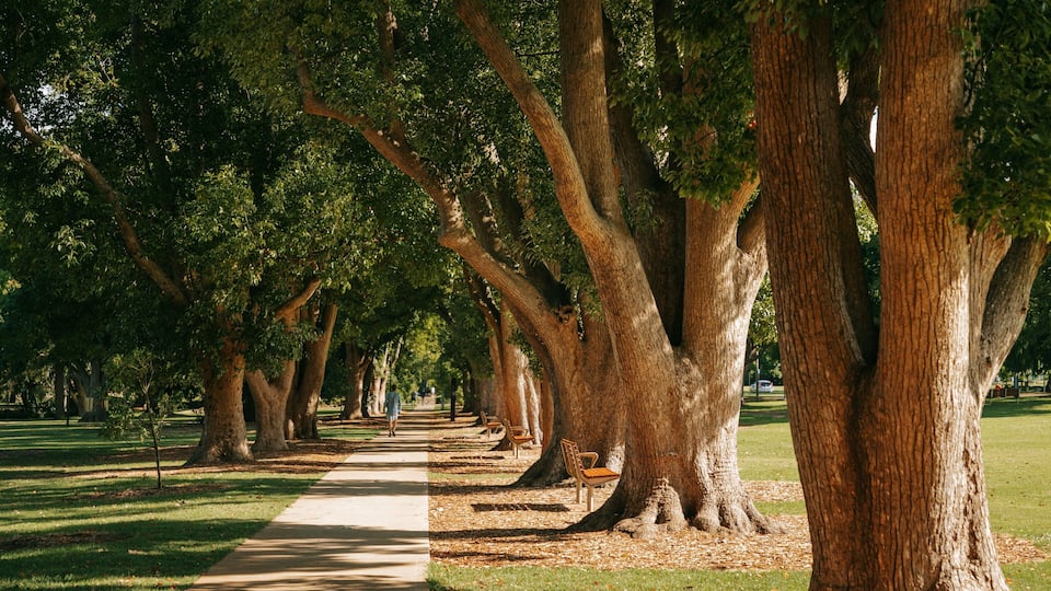 Queens Park showing a park