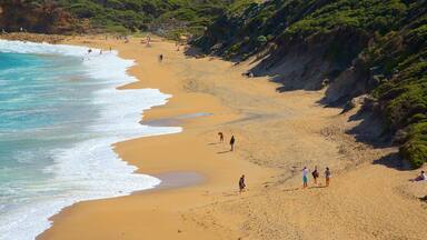 Bell\'s Beach featuring a sandy beach