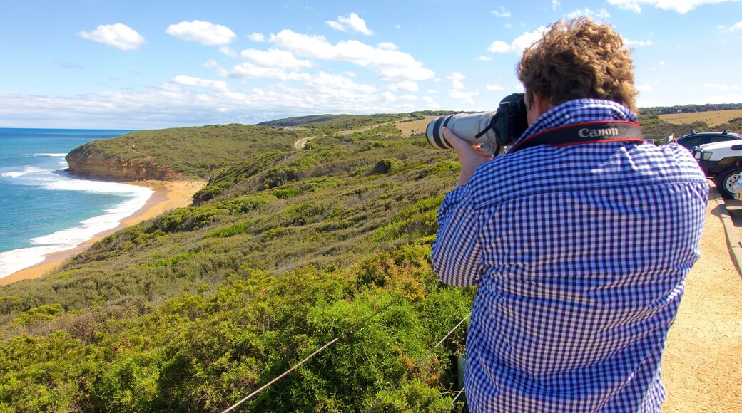 Bell\'s Beach showing views and general coastal views as well as an individual male