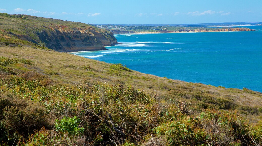 Bell\'s Beach featuring landscape views and rocky coastline