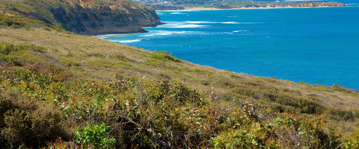 A coastal landscape with a grassy hill, a cliff, and the ocean.