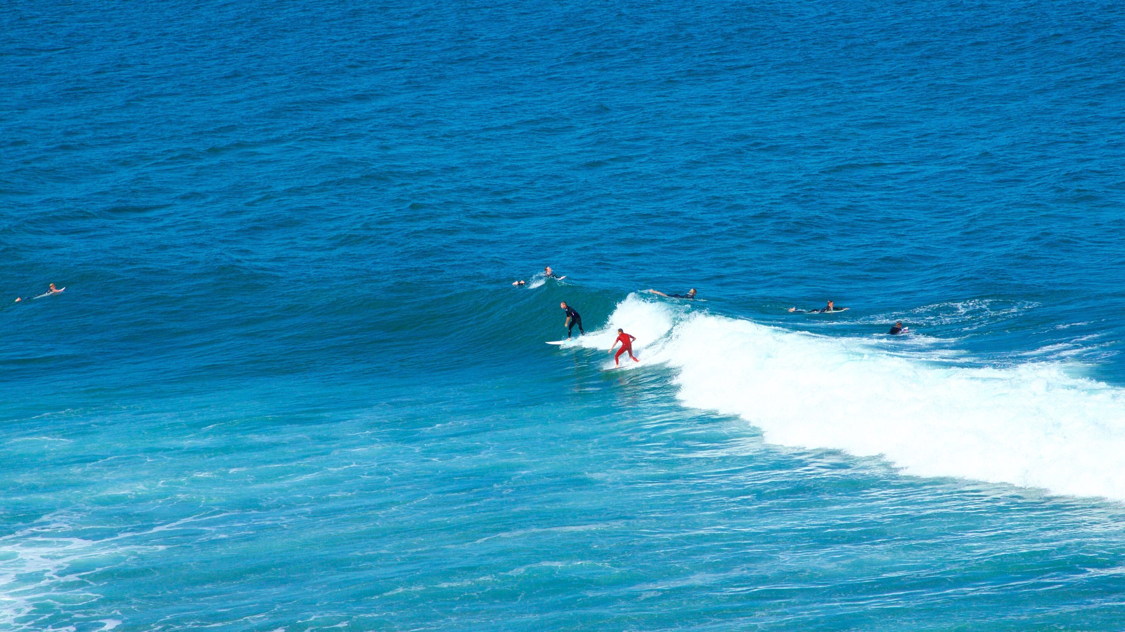 Bell\'s Beach showing waves and surfing