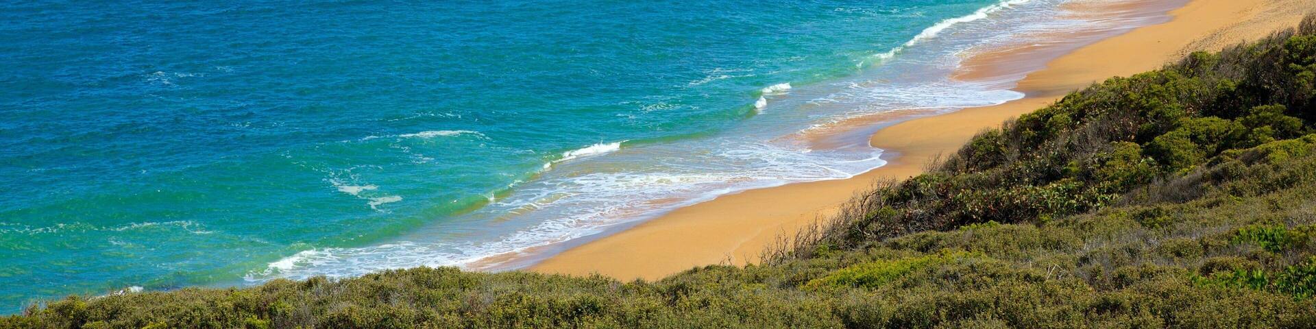 Bell\'s Beach showing a bay or harbor