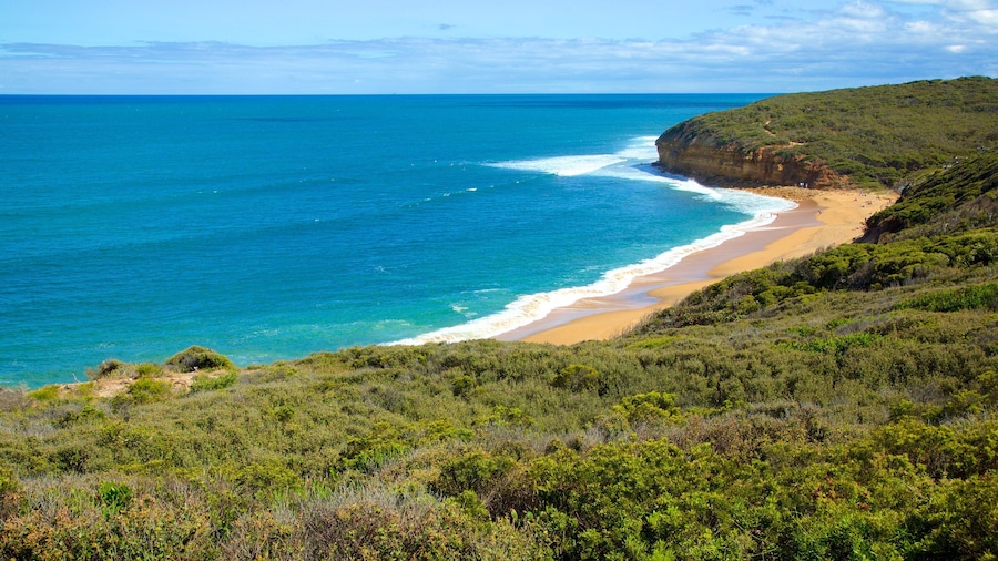 Bell\'s Beach mostrando uma baía ou porto e paisagem