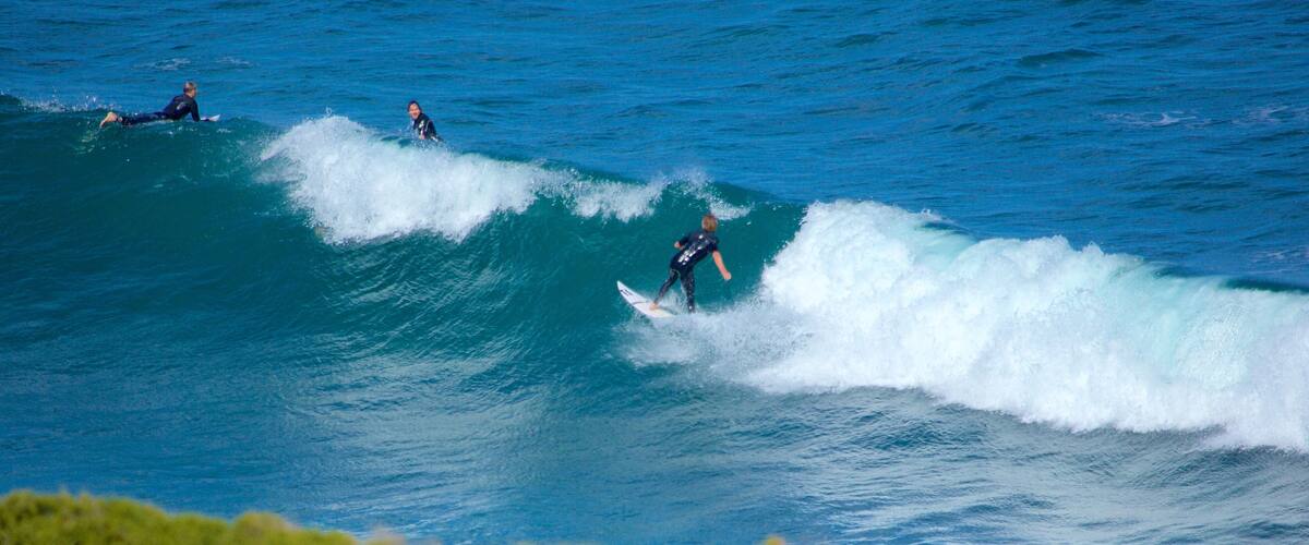 Bell\'s Beach showing surfing and surf