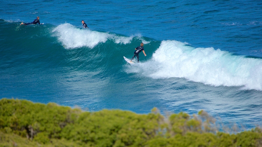Bell\'s Beach showing surfing and surf