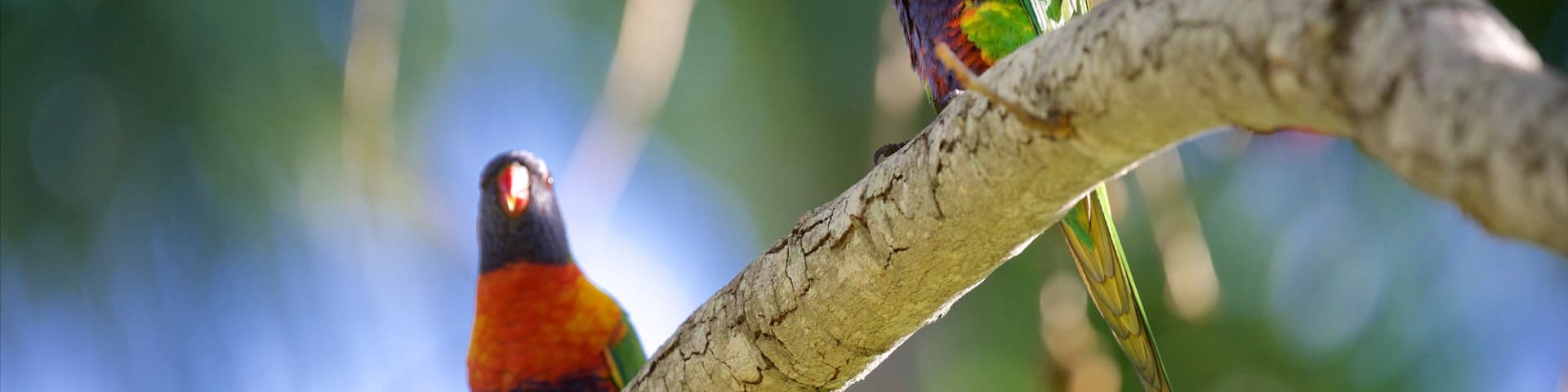 洛坎普頓植物園和動物園