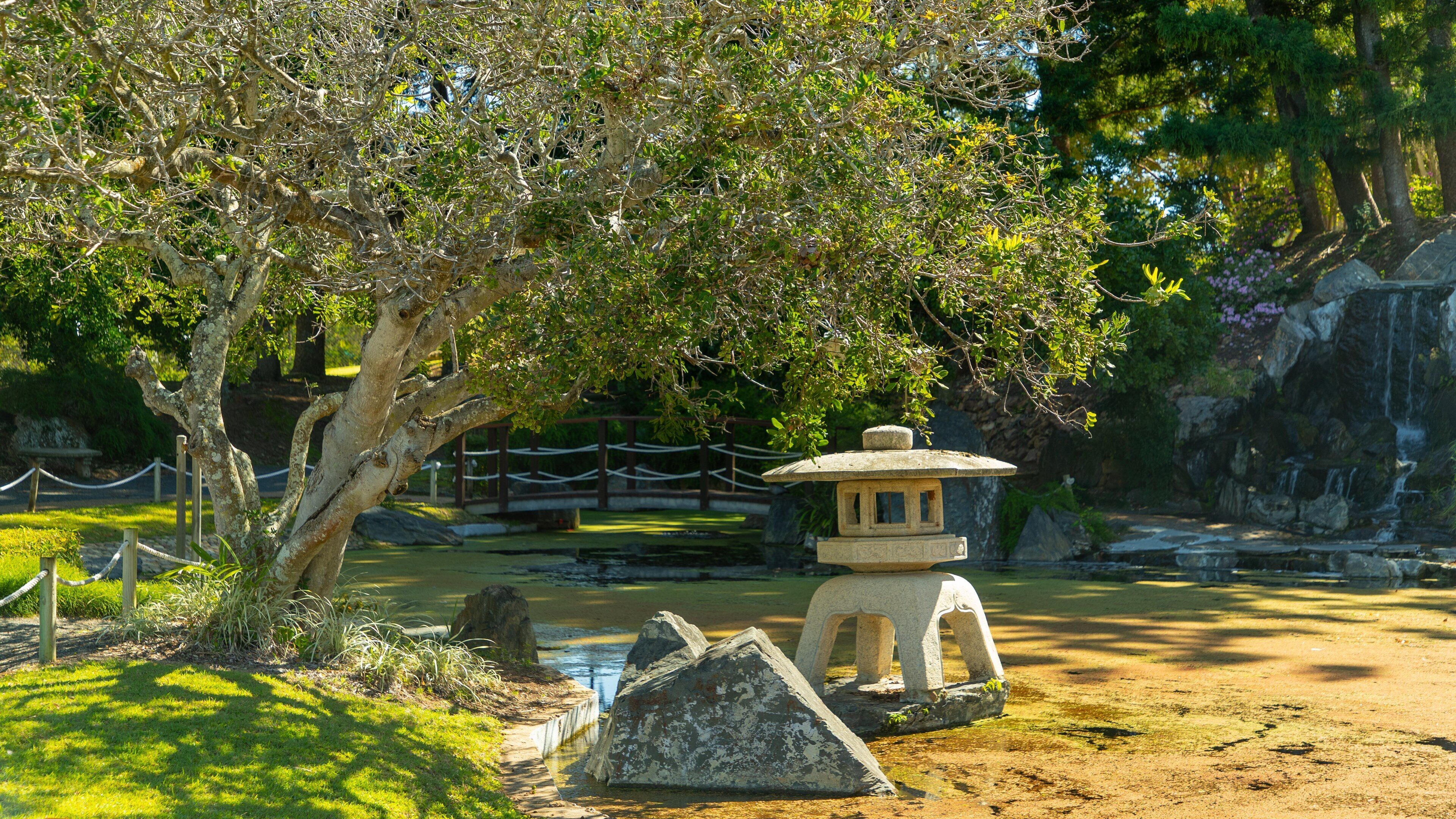 Un farol japonés de piedra tradicional bajo un árbol, rodeado de rocas y un pequeño estanque.