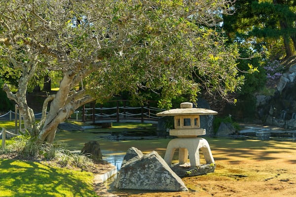 A traditional Japanese stone lantern under a tree, surrounded by rocks and a small pond.