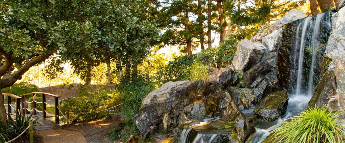 Rockhampton Botanic Gardens and Zoo featuring a park and a river or creek