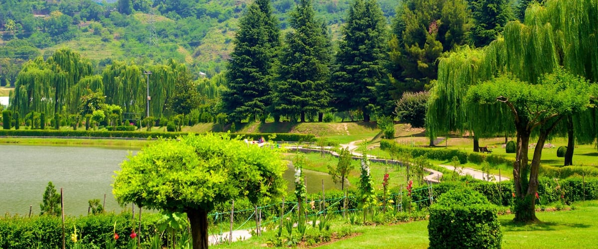 Jardín botánico ofreciendo un lago o laguna y un parque