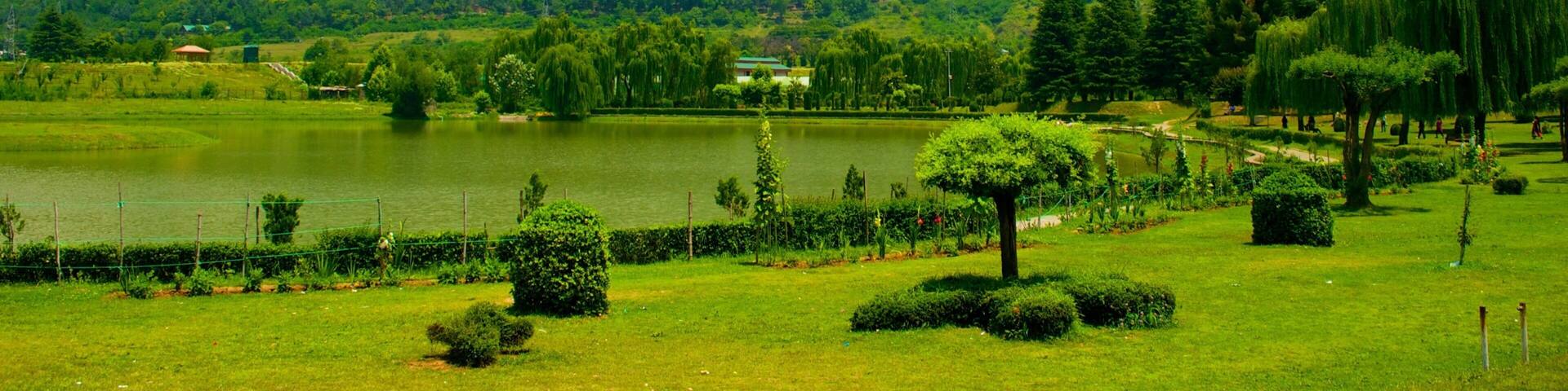 A lake surrounded by lush greenery, a few trees, and distant mountains under a clear sky.