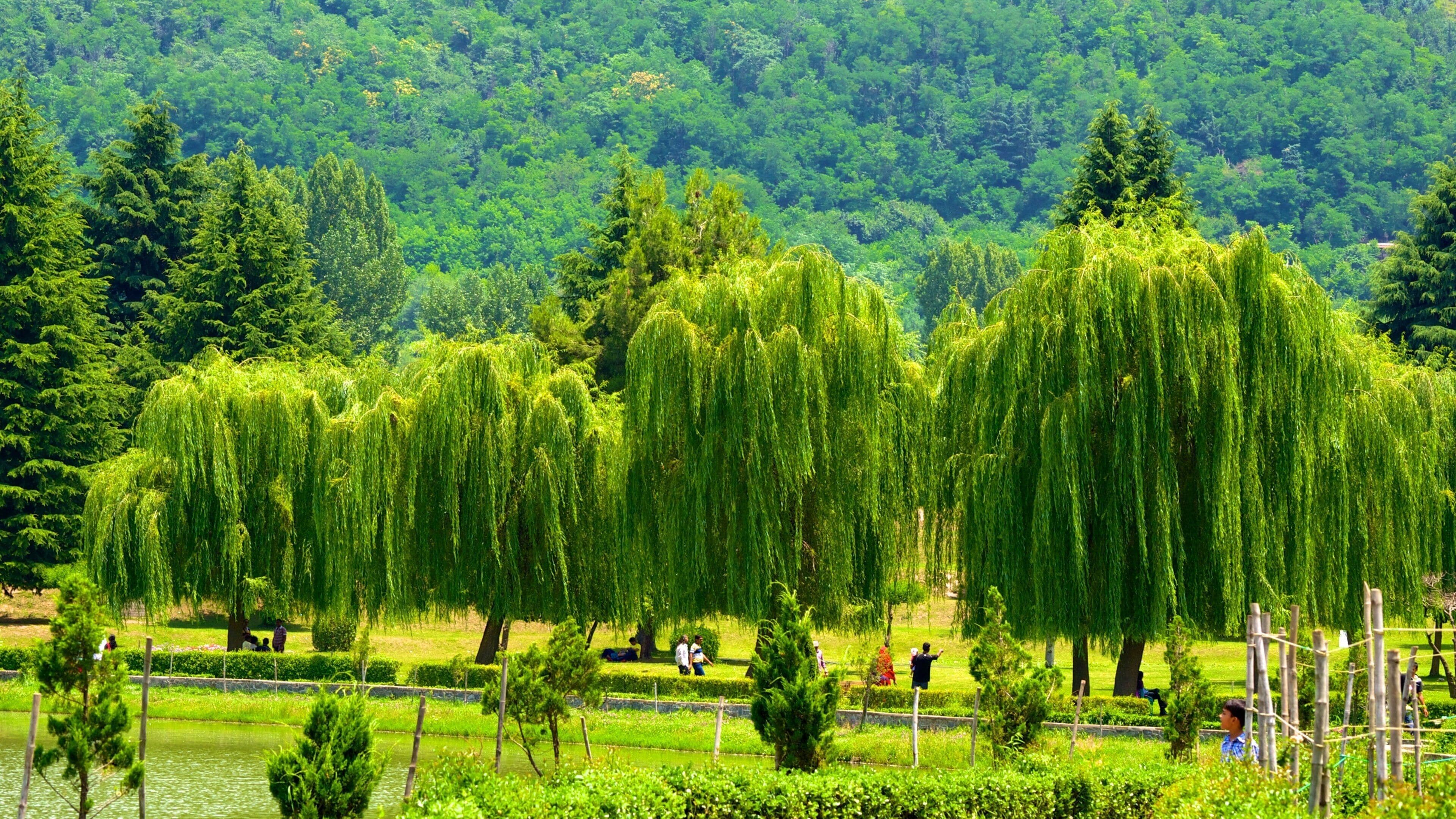Botanical Garden which includes a garden