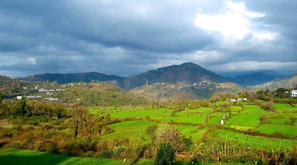 Pháo đài Hari Parbat cho thấy kiến trúc di sản