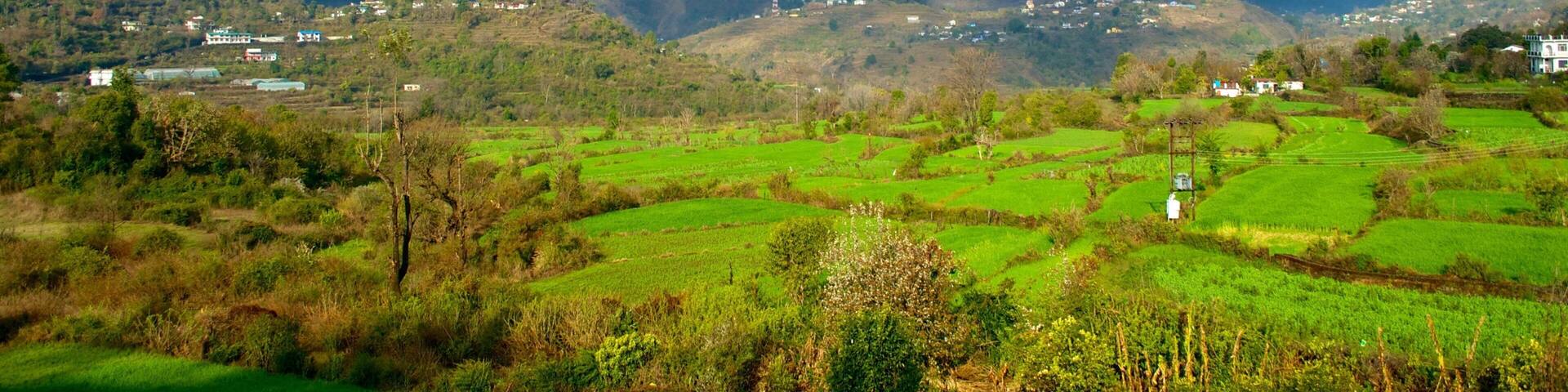 Hari Parbat Fort which includes heritage architecture