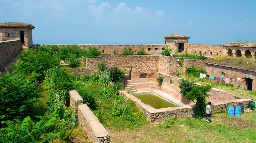 Hari Parbat Fort showing heritage elements
