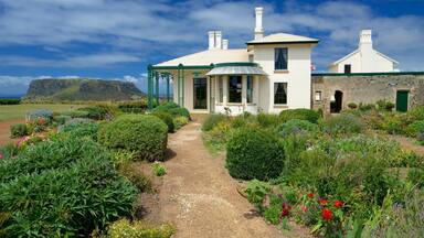 Una casa blanca con detalles verdes y un jardín con diversas plantas y flores.