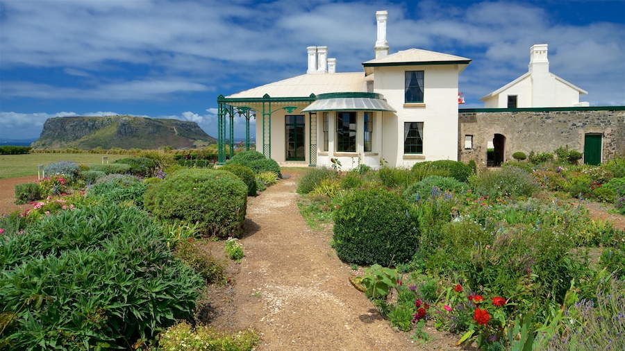 Uma casa branca com detalhes verdes e um jardim com diversas plantas e flores.