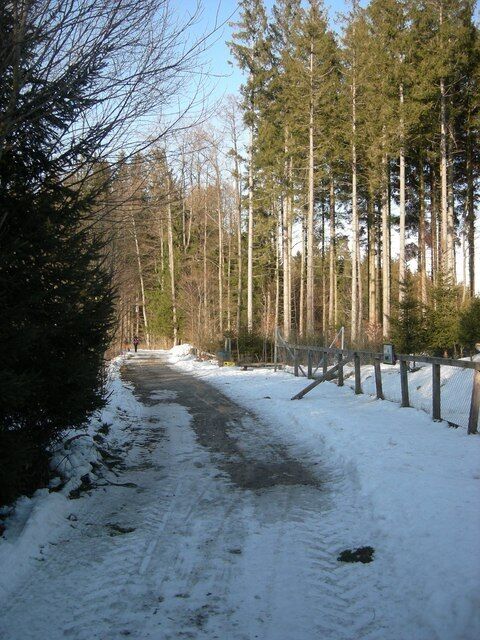 Waldweg bei Blindham