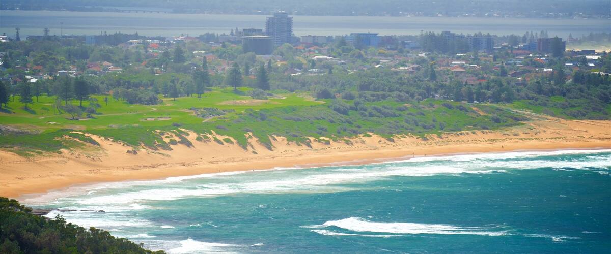Wyrrabalong National Park showing waves, a bay or harbor and a beach