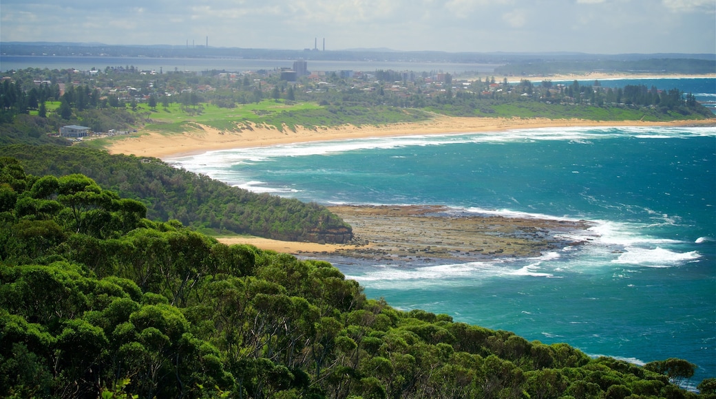 Wyrrabalong National Park which includes a bay or harbor, waves and a sandy beach