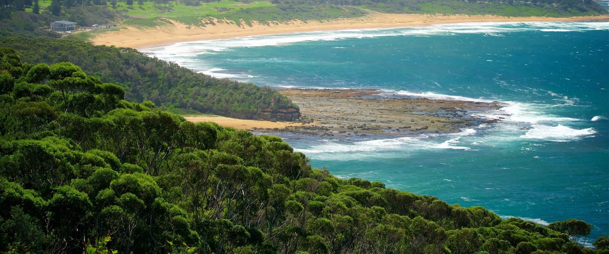 Wyrrabalong National Park which includes a bay or harbor, waves and a sandy beach