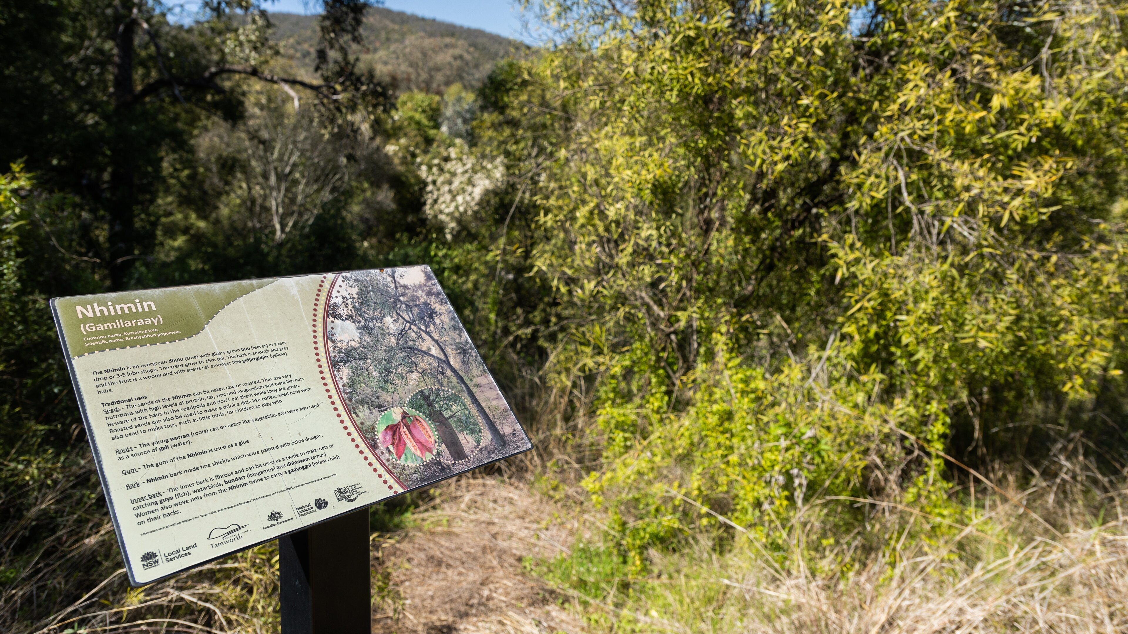 Botanical Gardens featuring signage and forests