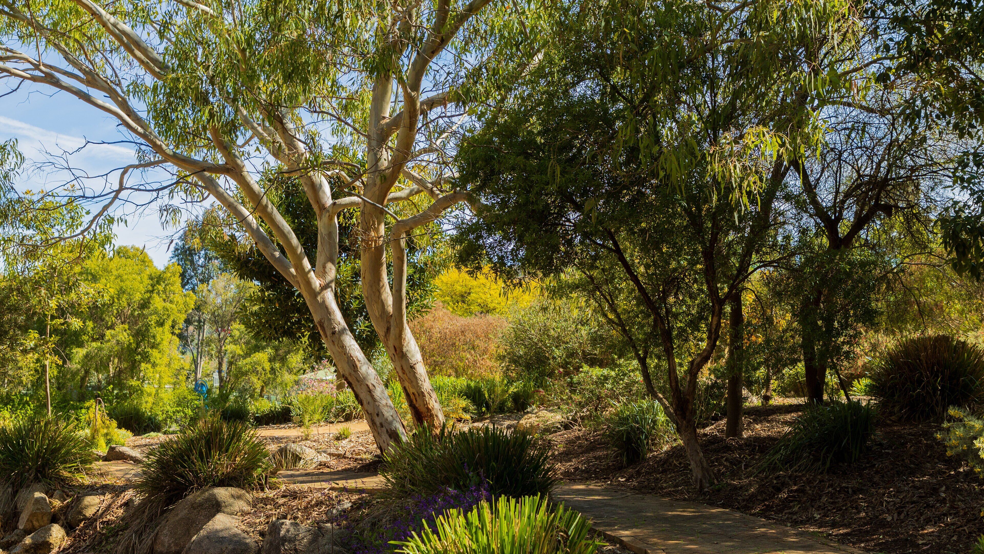Botanical Gardens which includes a garden