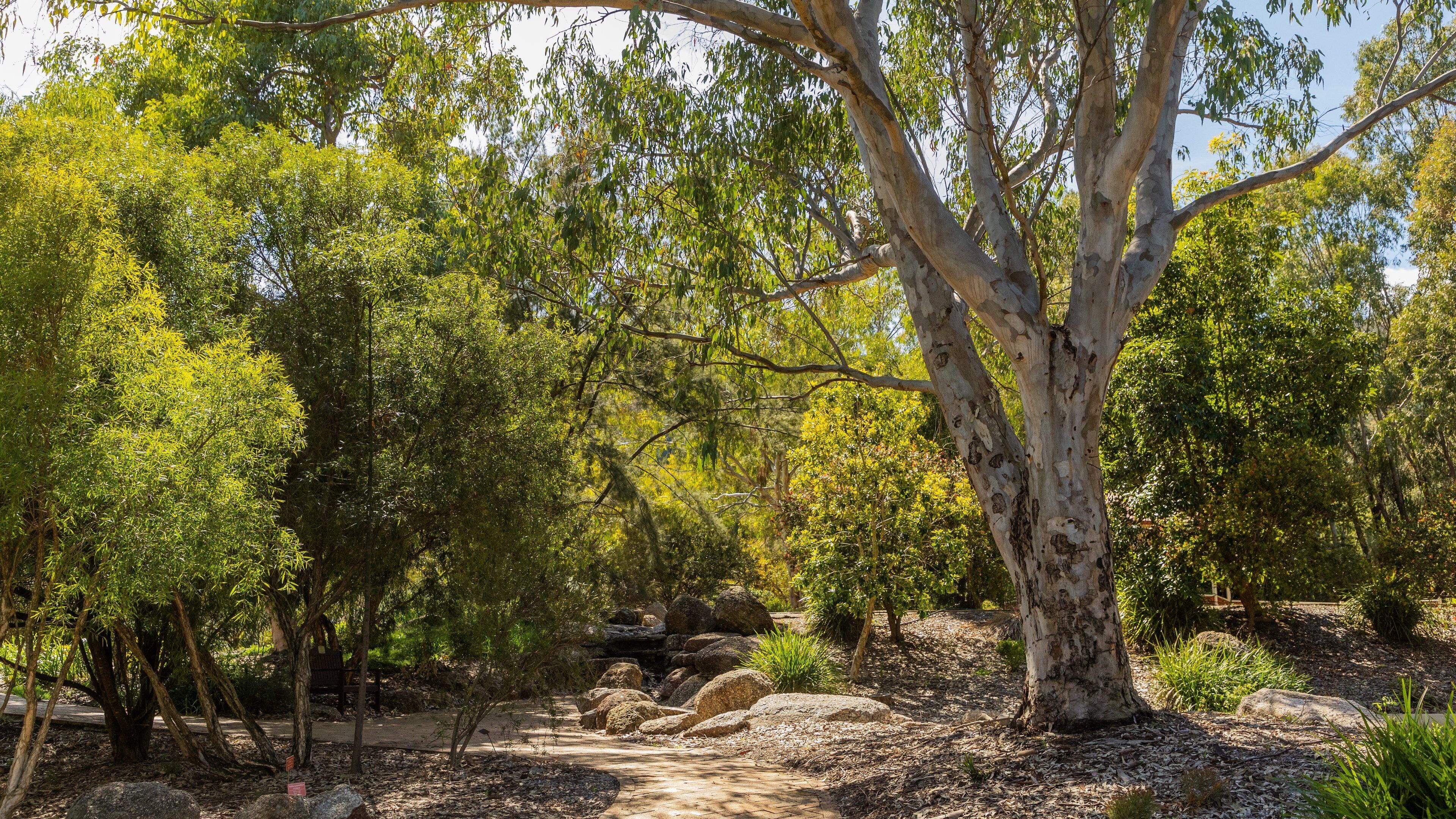 Botanical Gardens showing a park