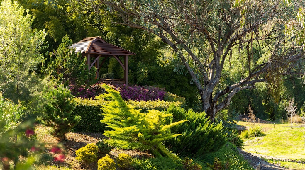 Botanical Gardens showing a garden