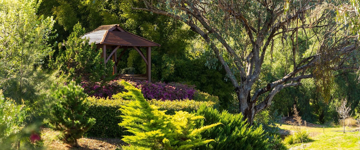 Botanical Gardens showing a garden
