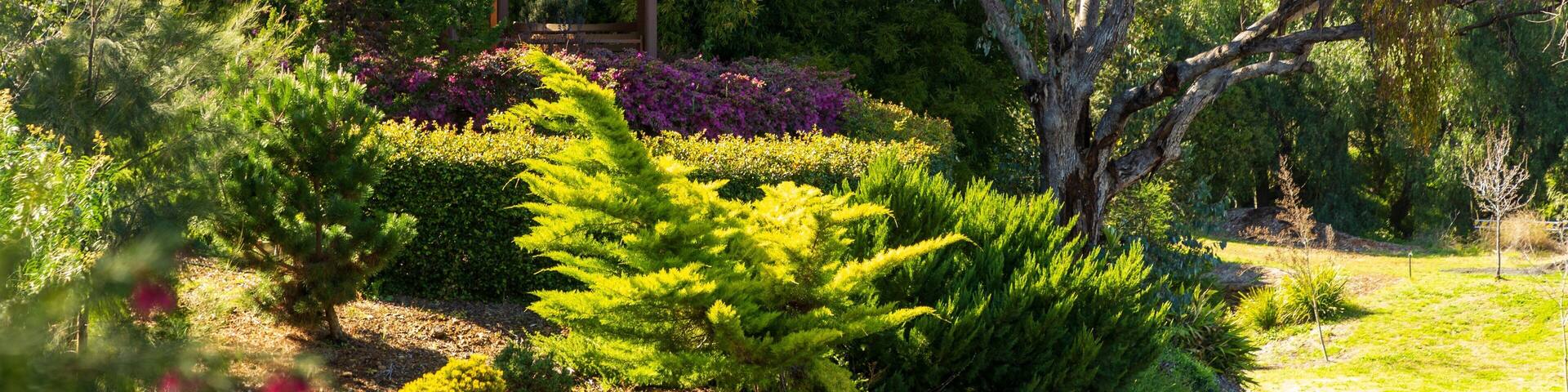 Botanical Gardens showing a garden