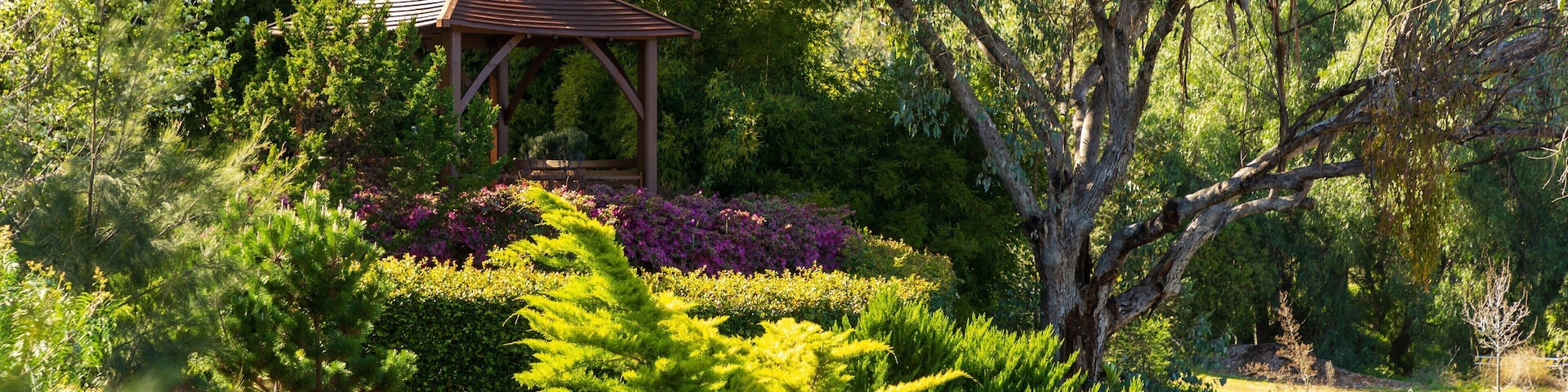 Botanical Gardens showing a garden