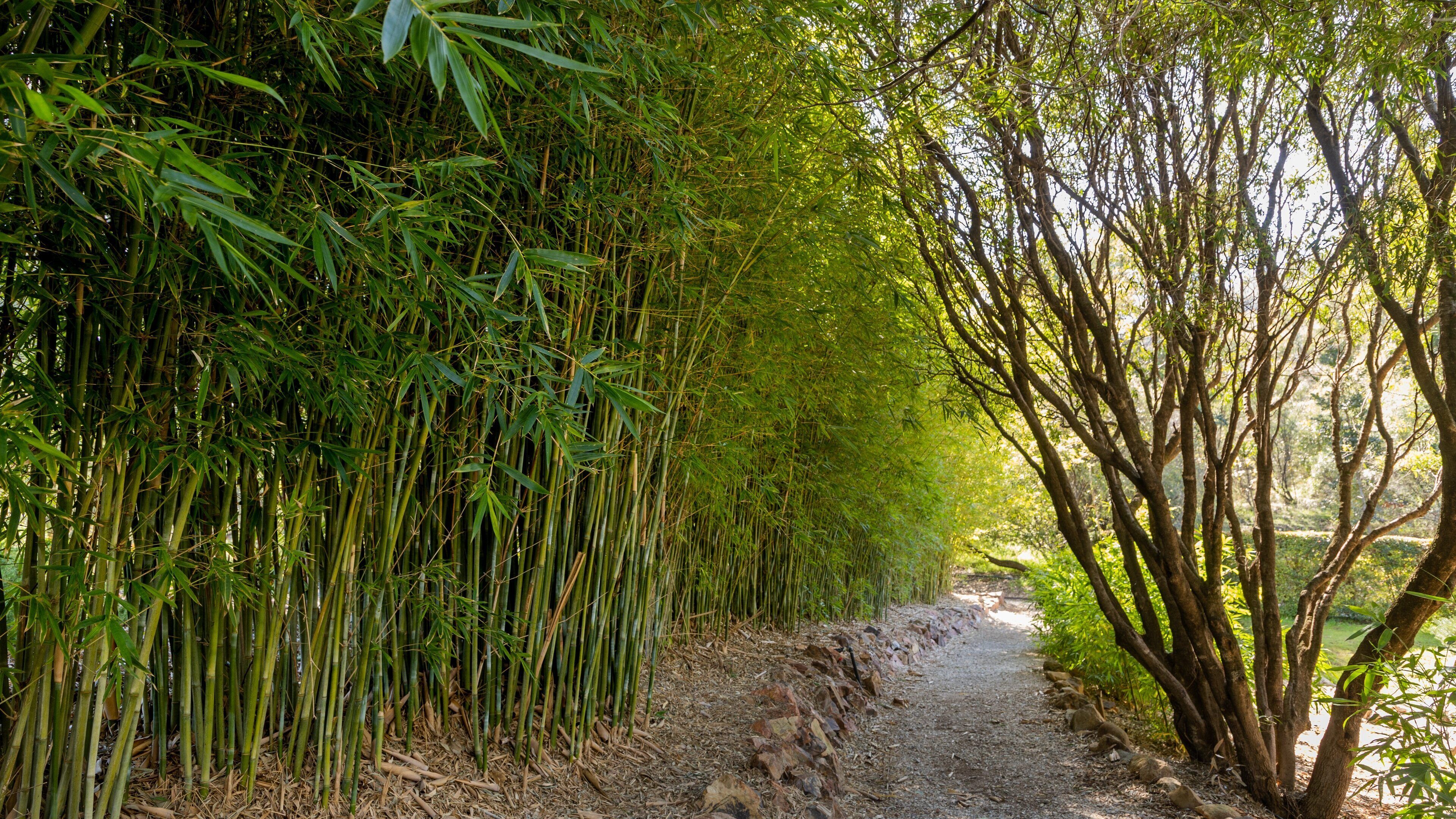 Botanical Gardens showing a garden