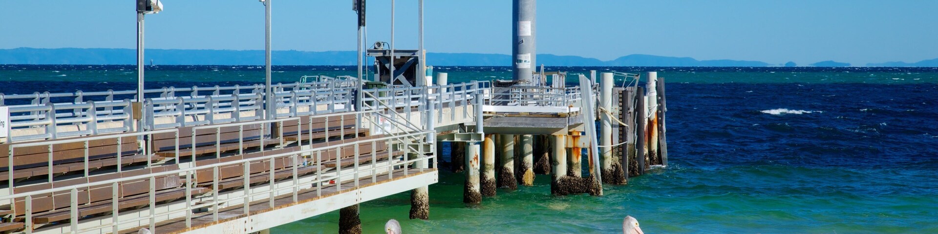 Moreton Island National Park showing bird life, a bay or harbor and a beach