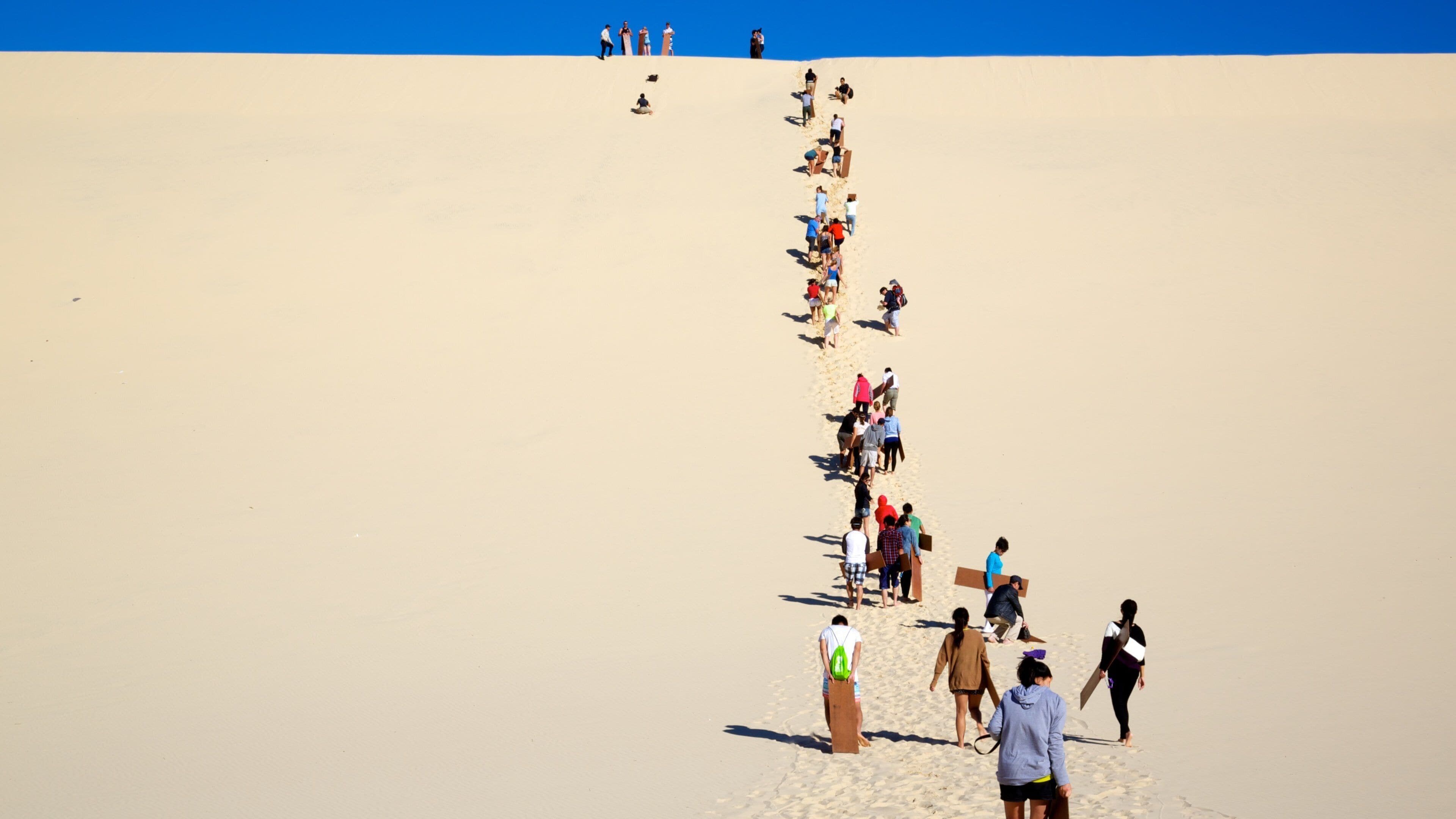 Moreton Island National Park featuring desert views as well as a large group of people