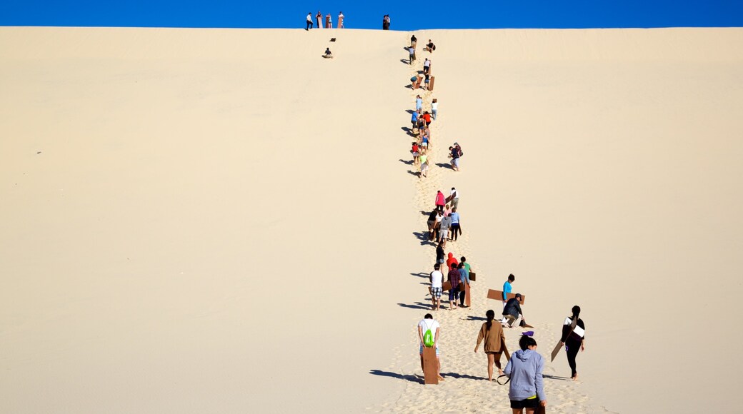 Moreton Island National Park featuring desert views as well as a large group of people
