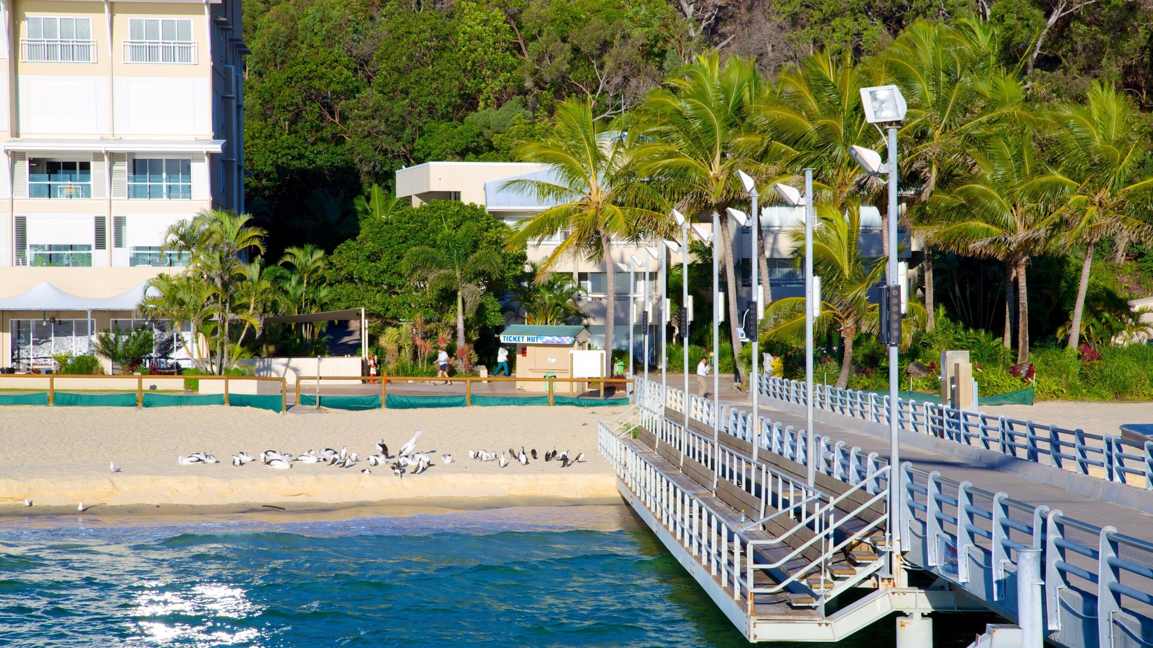 모튼 아일랜드 국립공원 을 특징 아열대 풍경