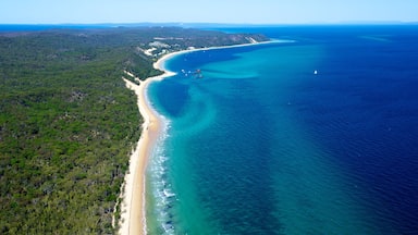Vista aérea de una zona costera con playa de arena, aguas azules cristalinas y un bosque verde frondoso.