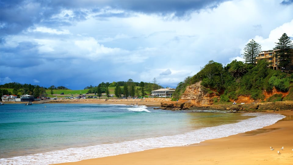 A beach with clear turquoise water, a sandy shore, and a rocky cliff with greenery.